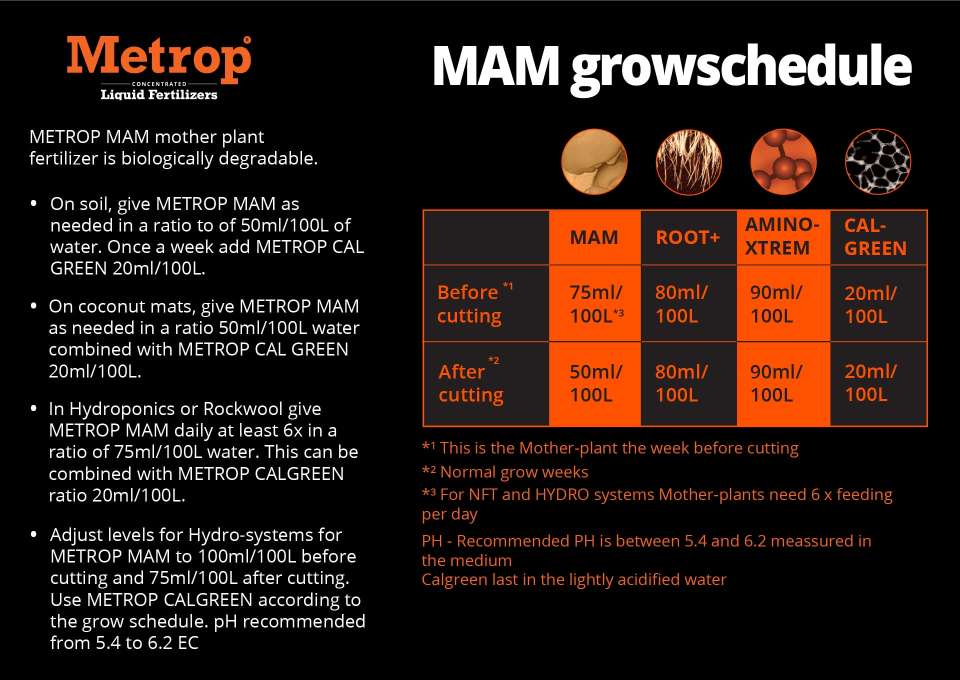 C2-MAM STARTPAKET